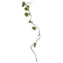 greenery vine 03 DS