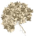 hydrangeaheaddried2