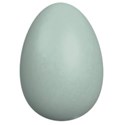 eggblue