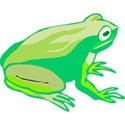 frog1