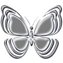 silver butterfy