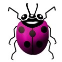 pink lady bug