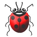 red lady bug