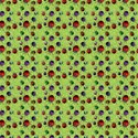 bug paper2