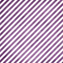 bos_sh_paper03