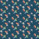 space race