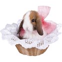 bunny basket