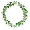 ivy wreath