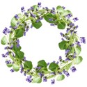 wreath violets