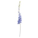 foxglove blue