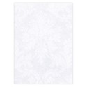 vellum overlay DS