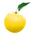 apple yellow 01