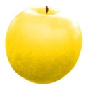apple yellow 02