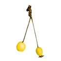 dangling yellow crab apple