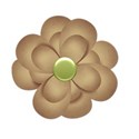 flowerbrown