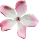 Flower 06