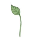 leaf2