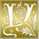 Y