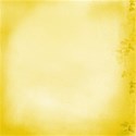 (11)