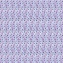 Iris 1b background