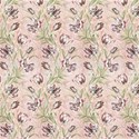 Iris 2d background