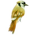 StarLightDesigns_CUelements (22)