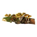 StarLightDesigns_DeepInTheForest_elements (12)