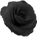 black rose 4