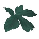 leaf emerald