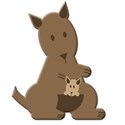 kangaroo