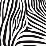 Zebra Paper