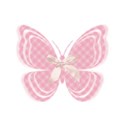 bow butterfly 3