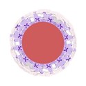 blue and pale pink circle frame