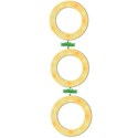 3 ring photo frames orange