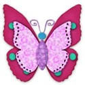 pink and turquoise butterfly