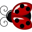 kitc_abc_ladybug