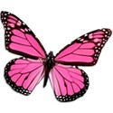 pink_butterfly