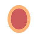 FRAME - Orange Gingham