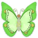 green butterfly