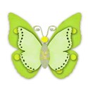 lime green butterfly