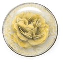 yellow rose button