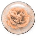 darker orange rose button