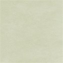 beige background paper