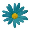 daisygreenblue