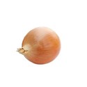 Onion