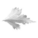 leaf 4 white ds