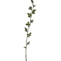branch 02