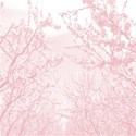 pinkpaper2345