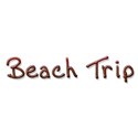 Beach Trip Wordart