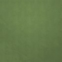 paper lined green